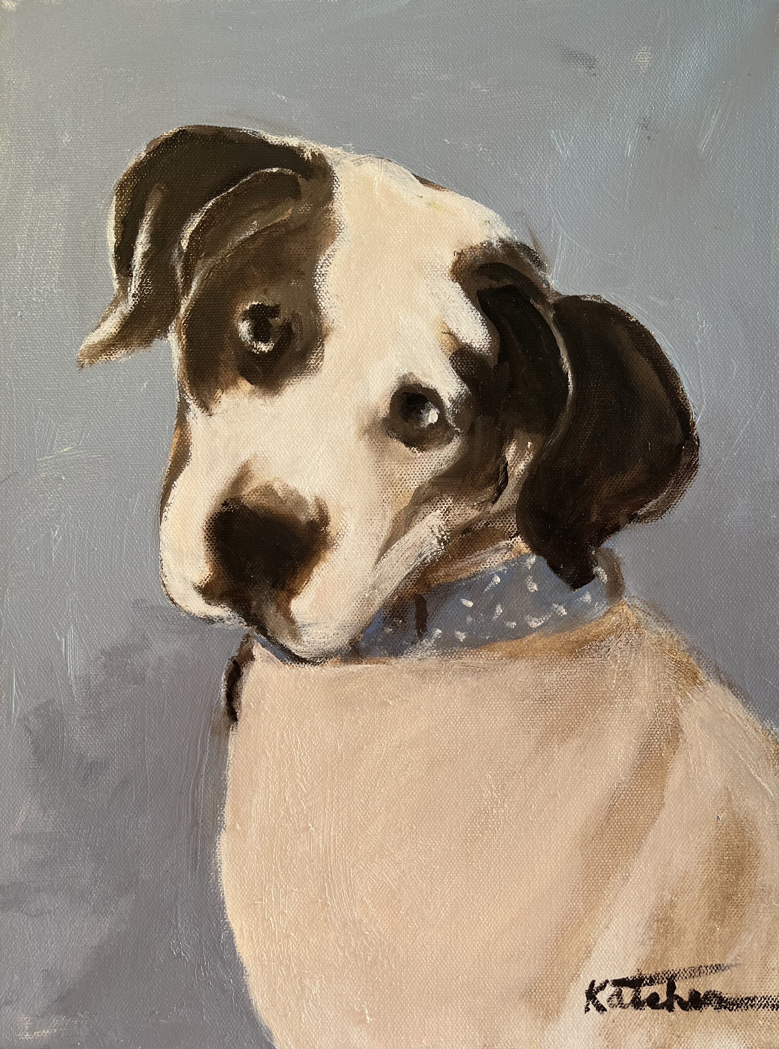 Dog portrait with bandana