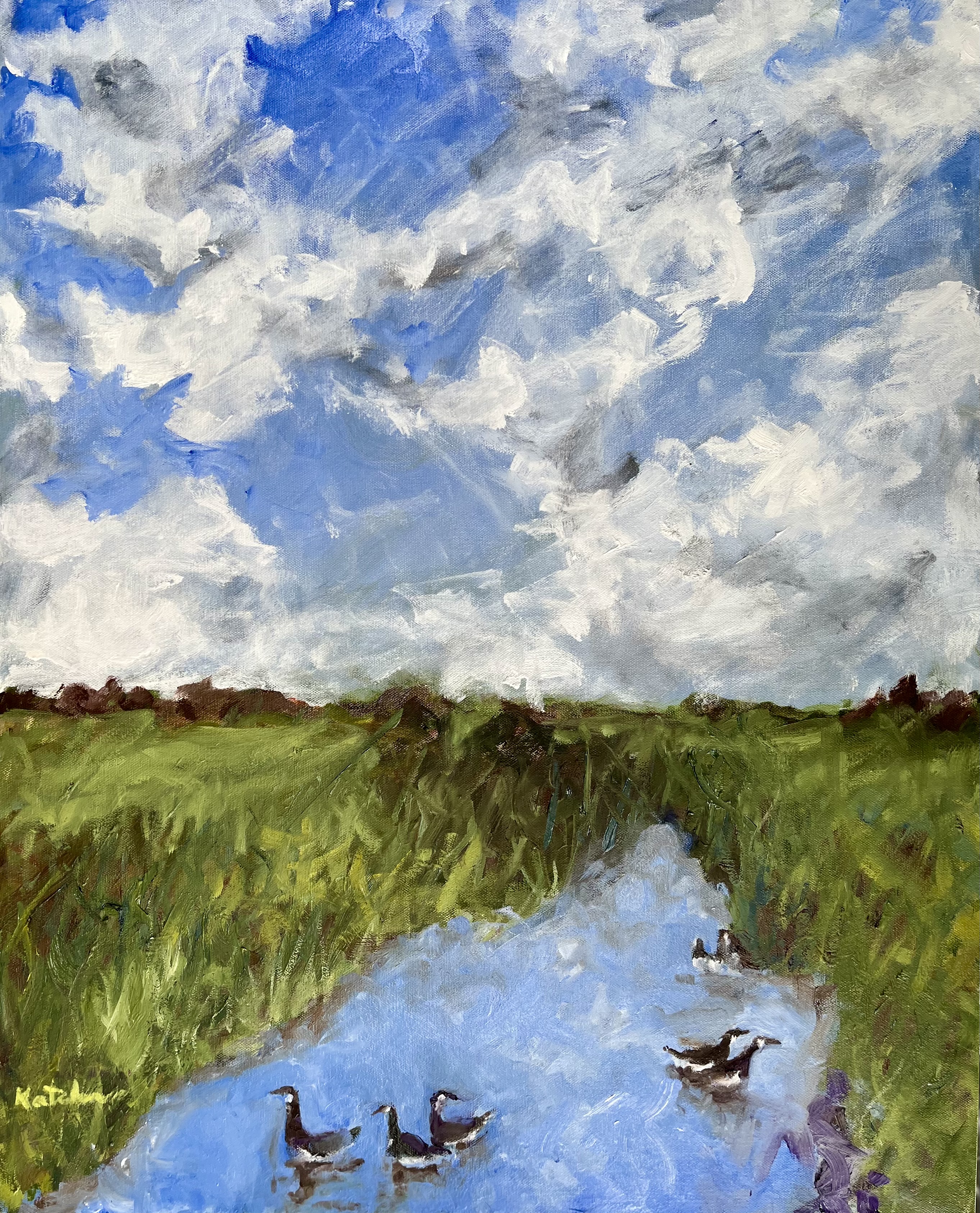 Geese on a stream with big sky